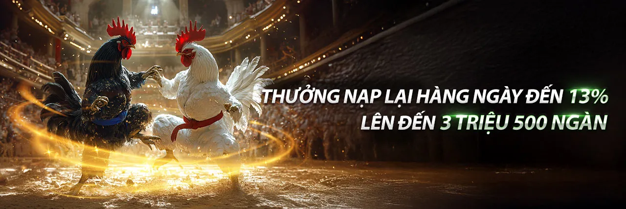 Hoàn trả hàng ngày 89bet1
